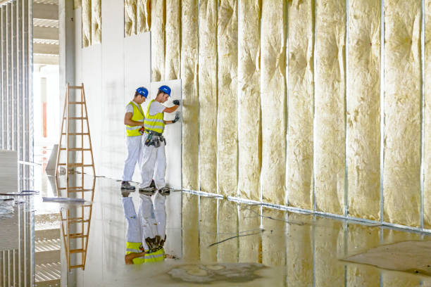 Best Specialty Insulation in Hustisford, WI